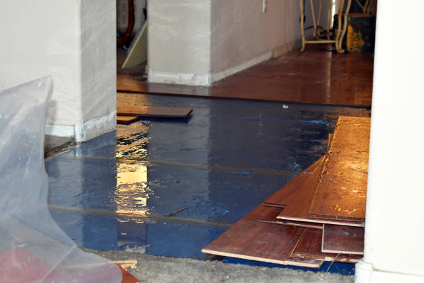 Professional Burst Pipe Cleanup technician working in Danbury, CT